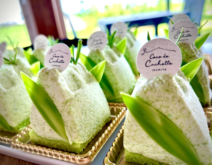 秘伝豆を使った　秘伝の森