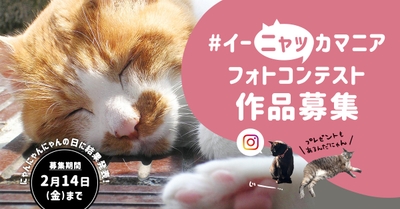 s11JR9Ali2K0yGTlC5W2.jpg?w=940&h=940