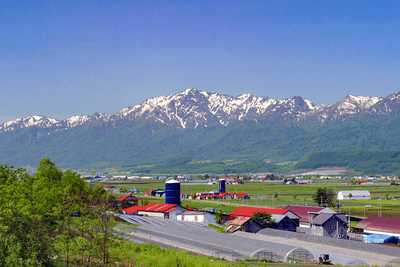 富良野美瑛 Photo Library