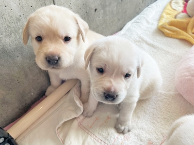 s50PerHV66MAAX2M6UbH.jpg?w=940&h=940