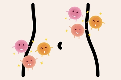 s5GwMV5iSLDl8IwEvv5K.jpg?w=940&h=940