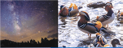 s5z6EdFljBWGbgtb0kH1.png?w=940&h=940