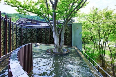 s5zy0bE55a6pWV81TVqz.jpg?w=940&h=940