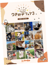 sBi1LWWio0gmaETeLYua.png?w=940&h=940