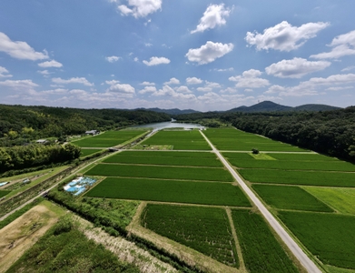 1【12ヘクタールの農地】