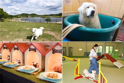 sGhjut0hC8YrMvB95B69.jpg?w=940&h=940