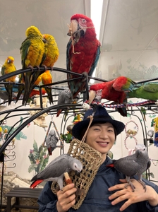 sGqBMHrqYPDGAIPAWWA8.JPG?w=940&h=940