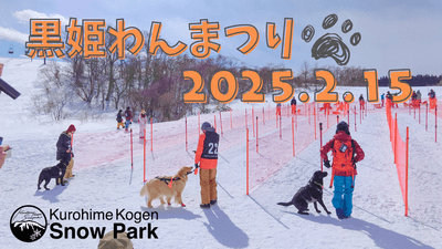 sH7QmvJ6MlGzmXekq02H.png?w=940&h=940