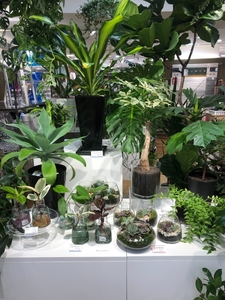 sIReA5syItFPA1Ks3z8w.jpg?w=940&h=940