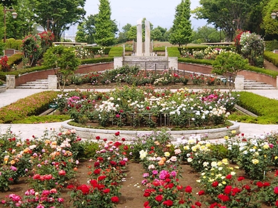 sIzipU6YT9IQJDAwjzJC.jpg?w=940&h=940