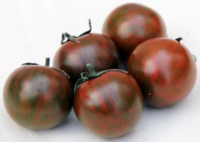 新品種トマト「AMAZON」