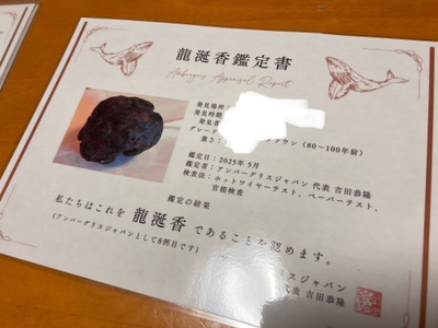 sLhJIbusCH6cD0RtU3C5.jpg?w=940&h=940