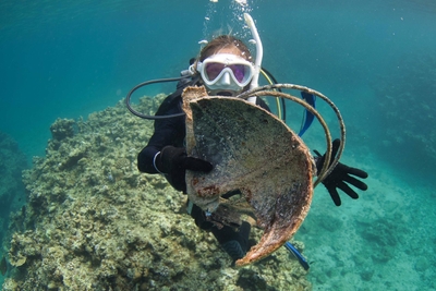 sMXKDPCqCd9oX2oTXRZi.jpg?w=940&h=940