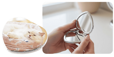 ハート型ミラーコース