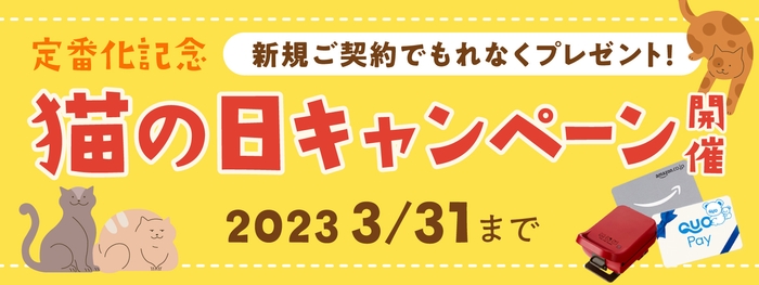 猫の日キャンペーン開催