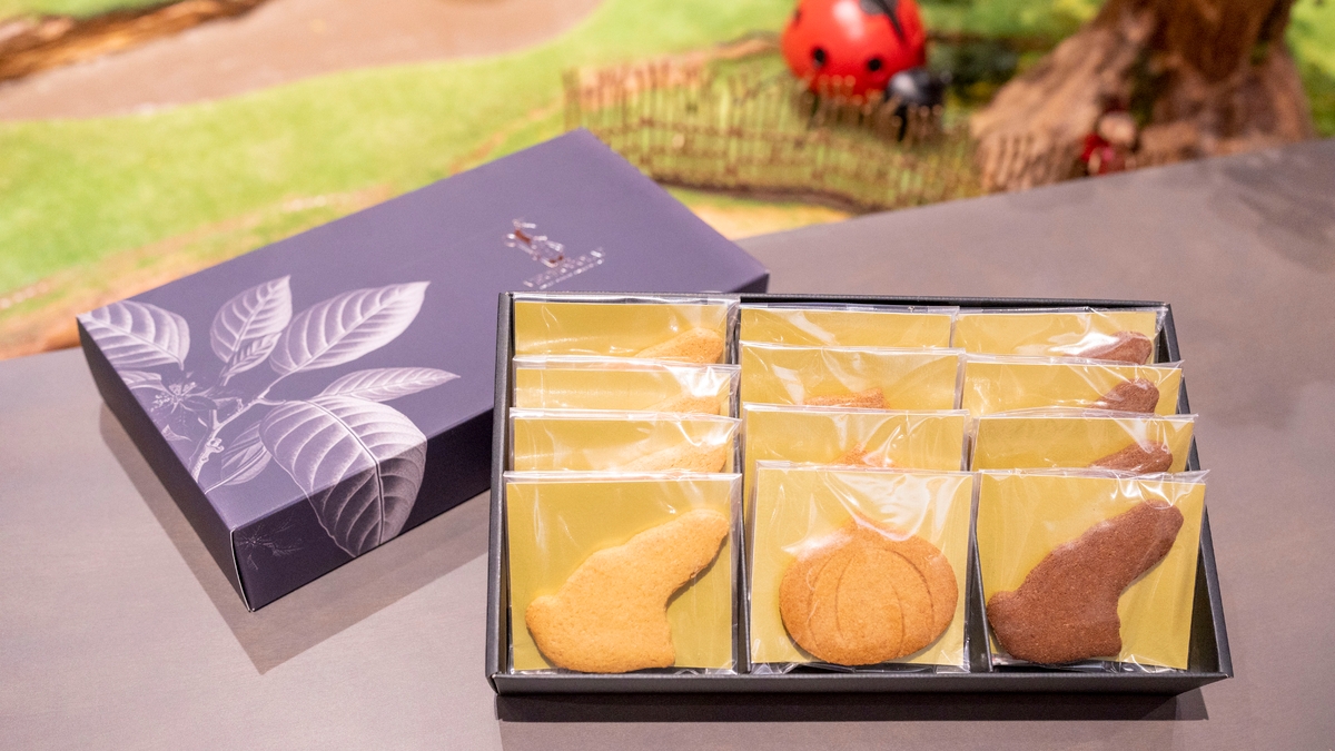 淡路島西海岸「Ladybird Road」新たな淡路島ギフトの登場! VIE CHOCOLAT『淡路島サブレセット』10月10日より販売開始!