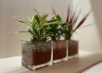 sPnAk4u823sh60HDapqz.jpg?w=940&h=940