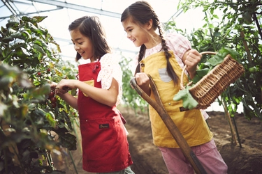 【リゾナーレ那須】カゴメと星野リゾート　リゾナーレ那須による初の取り組み　野菜のおいしさや楽しさを体験できる宿泊プラン 「アグリツーリズモリゾートで元気になるベジ旅」を共同企画