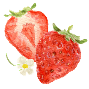 sQiXcUgpmFzZbMnAKcId.png?w=940&h=940