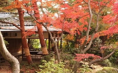 sRvHV6NJ0NSiYgER6sj2.jpg?w=940&h=940