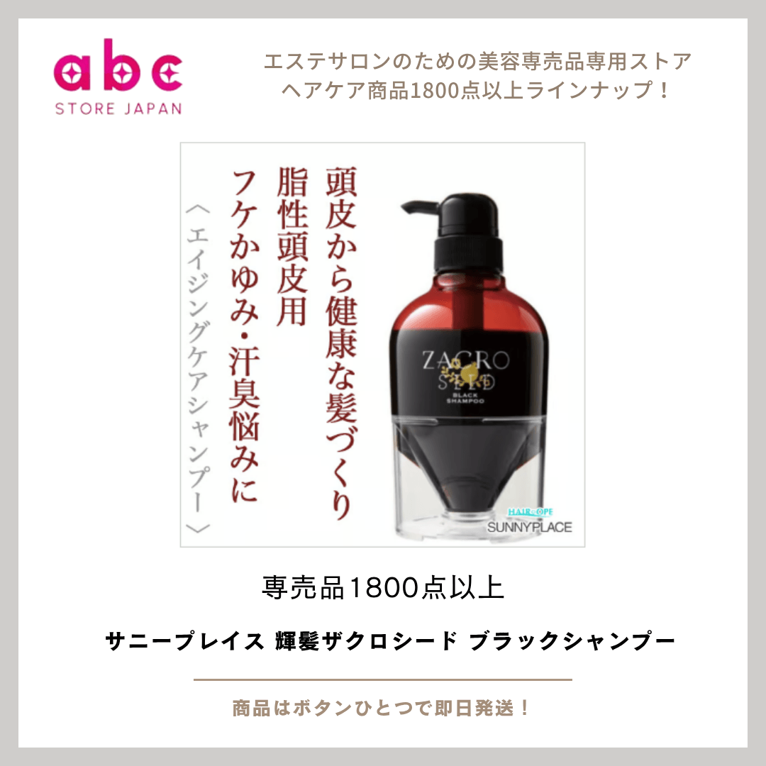 ザクロペインターA【クリア新品】【ブラック】など5点サニープレイス 輝髪ペインターAナチュラルブラック | 株式会社サニープレイス