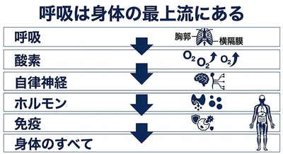 sSUaf4Z13nVTLsB89fUp.png?w=940&h=940