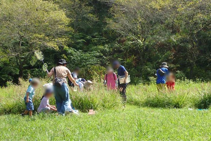 草むらのなかにもいるかな?