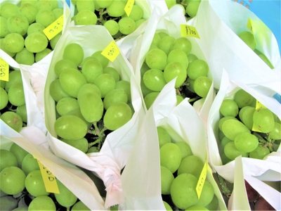 sUDza6iXd6dvv2a0SrXi.jpg?w=940&h=940