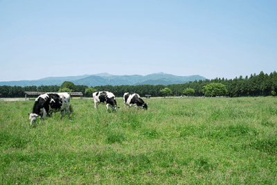 sUJ7S6EiAnHMBnStmktS.png?w=940&h=940