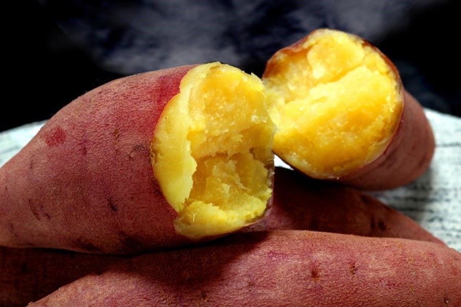 ホクホクベニアズマ芋苗200本セール べにはるか芋苗200本セール with Your smile様】さつまいも苗 200本