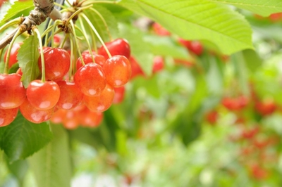 sVD3uPdtu1048gsfxK4l.jpg?w=940&h=940