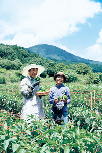 sVZVGfahor6Vwq3eLTYj.png?w=940&h=940