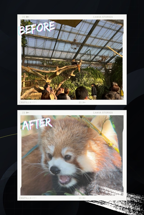 ビフォーアフター　5