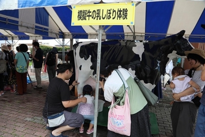 sXP63HOYwklBIUCqBGLz.jpeg?w=940&h=940