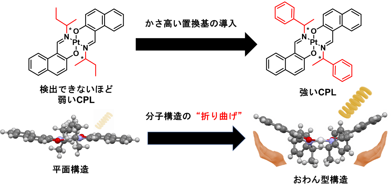 図1.本研究で開発した白金錯体の代表的な分子構造。かさ高い環状置換基の導入によって分子の折れ曲がりが引き起こされ、強いCPLを示す。
