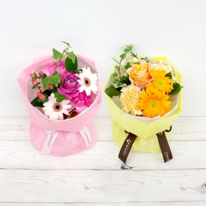 sZgHpxln8DPajoQbMReM.jpg?w=940&h=940