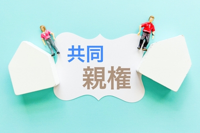 sZolpOjz1DrYNmirGwSs.jpg?w=940&h=940