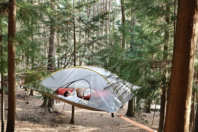 saXVVtgeMqFw4wadyvD9.jpg?w=940&h=940