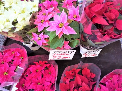 sbE7HAfQpRN462upCIuu.jpg?w=940&h=940