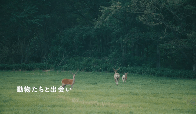 sdN5Sw87F2MfISqwhcK3.png?w=940&h=940