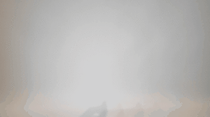 seNc93Z20h9Nyb9zZqaL.gif?w=940&h=940