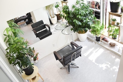 sexWJ9rT8jsHRD2yCDdn.jpg?w=940&h=940