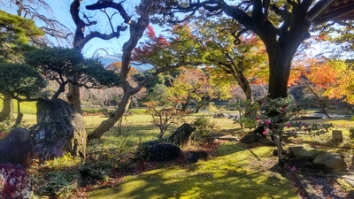 涵徳亭前庭（※イメージ）