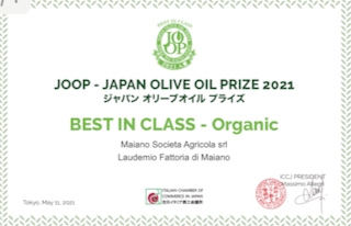 sf7jp0n6MjLQF7UyGxRq.jpg?w=940&h=940