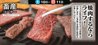 sfmYkheD9utoFDyMAKMm.png?w=940&h=940