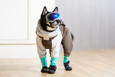 sgWRFgPUHIGtGsHtcep6.jpg?w=940&h=940