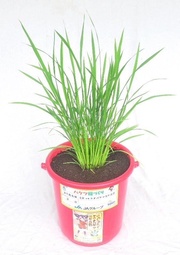 【ステッカーの活用方法(イメージ)】