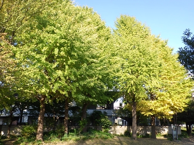 sh5edKUFoaUgVZS1nEiP.jpg?w=940&h=940