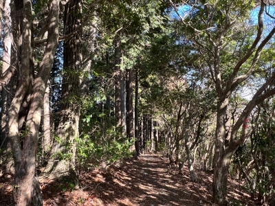 shyl3Sua7JznHQQxrKvv.JPG?w=940&h=940