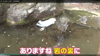 si35xs2f51YpzElB3ywF.jpg?w=940&h=940